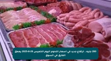 280 جنيه.. ارتفاع جديد في أسعار اللحوم اليوم الخميس 28-8-2025 يعمق الفارق في السوق